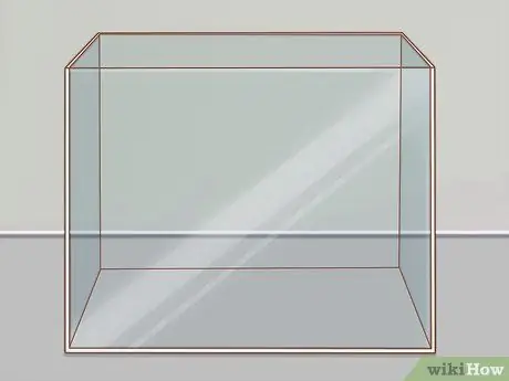 Уход за зелеными древесными лягушками Шаг 7