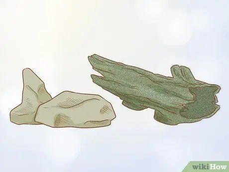 Уход за зелеными древесными лягушками Шаг 9