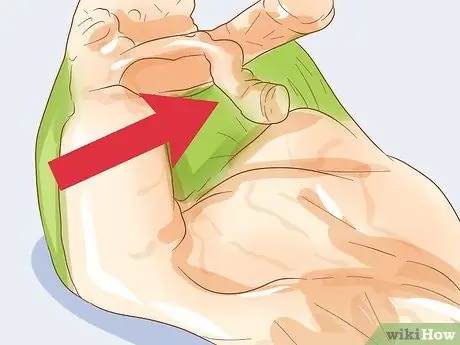 Как определить, является ли ваша древесная лягушка мужчиной или женщиной Шаг 4