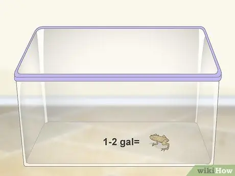 Уход за африканскими карликовыми лягушками Шаг 2