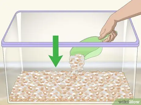 Уход за африканскими карликовыми лягушками Шаг 3