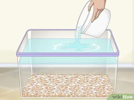 Уход за африканскими карликовыми лягушками Шаг 4