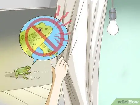 Отличить лягушку от жабы Шаг 9