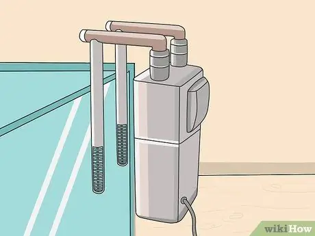 Позаботьтесь об американской лягушке-быке Шаг 7