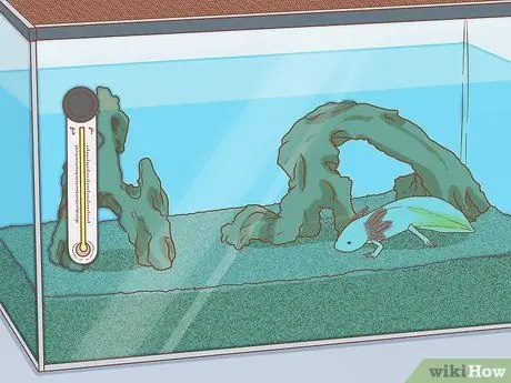 Дом питомца аксолотля Шаг 10