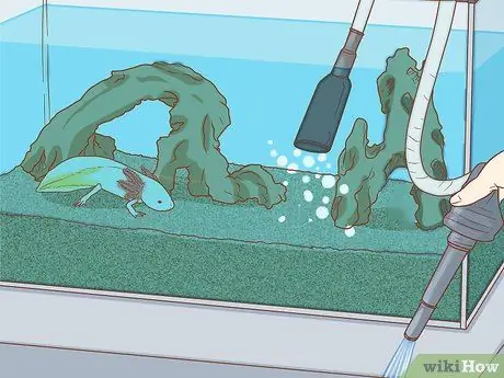 Дом питомца аксолотля Шаг 11