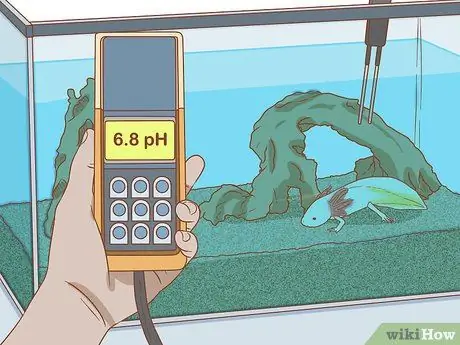 Дом питомца аксолотля Шаг 13