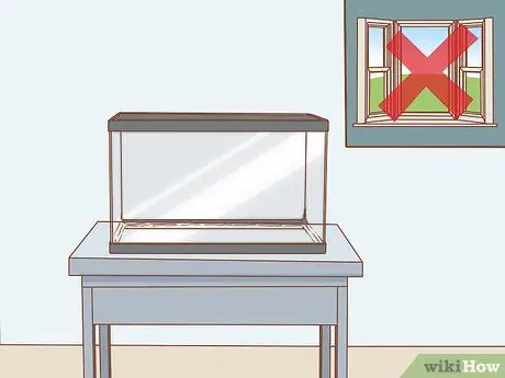 Дом питомца аксолотля Шаг 2