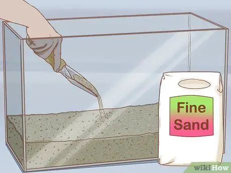 Дом питомца аксолотля Шаг 3