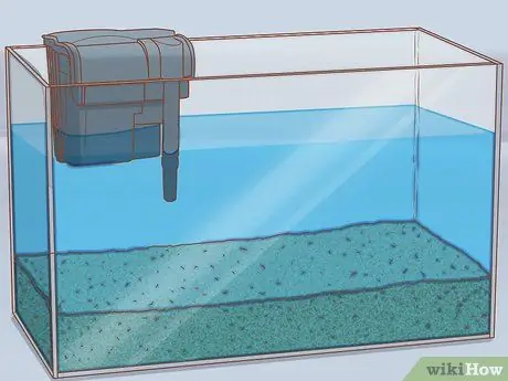 Дом питомца аксолотля Шаг 4