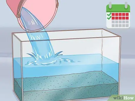 Дом питомца аксолотля Шаг 5