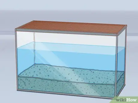 Дом питомца аксолотля Шаг 6