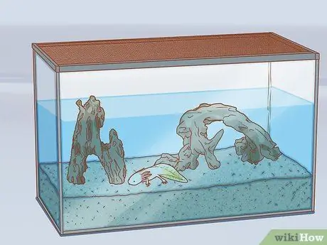 Дом питомца аксолотля Шаг 7