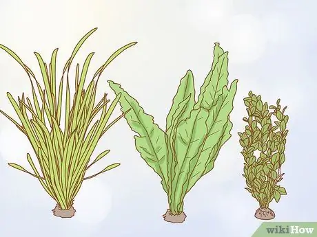 Дом питомца аксолотля Шаг 8