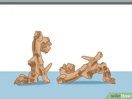 Дом питомца аксолотля Шаг 9