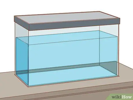 Уход за аксолотлем Шаг 1