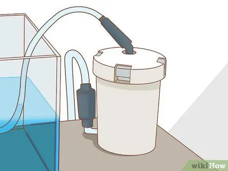 Уход за аксолотлем Шаг 2