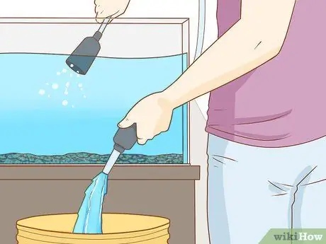 Уход за аксолотлем Шаг 7