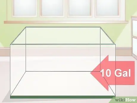 Уход за саламандрами Шаг 1