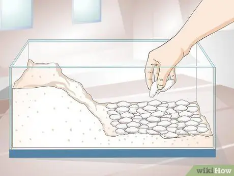 Уход за саламандрами Шаг 4