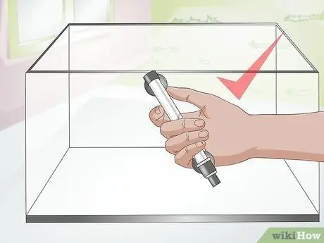 Уход за саламандрами Шаг 9