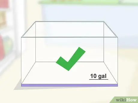 Уход за водным тритоном Шаг 1