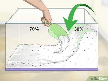 Уход за водным тритоном Шаг 2