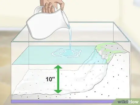 Уход за водным тритоном Шаг 3