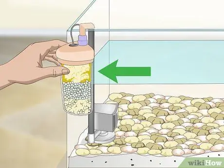 Уход за водным тритоном Шаг 5