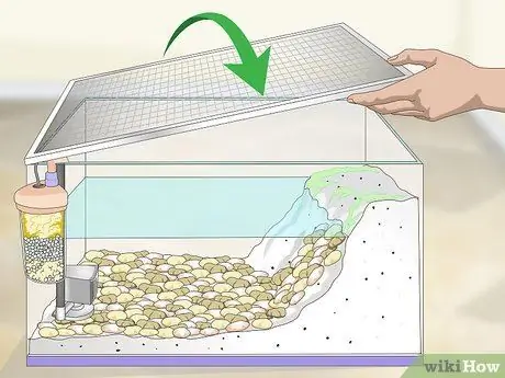 Уход за водным тритоном Шаг 6