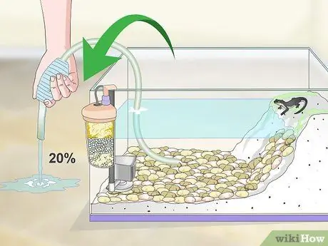 Уход за водным тритоном Шаг 8