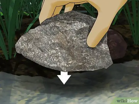 Найдите саламандр, шаг 10