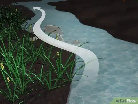 Найдите саламандр, шаг 11