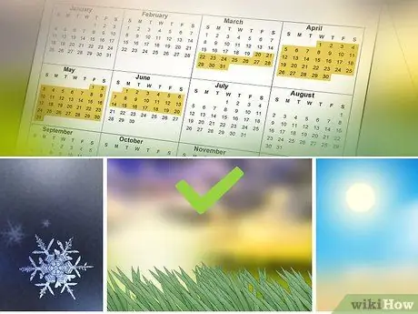 Найти саламандр, шаг 3