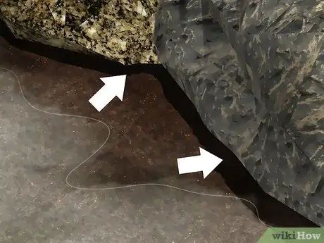 Найти саламандр, шаг 8