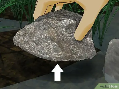 Найти саламандр, шаг 9