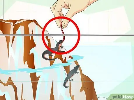 Сделать танк для тритонов Шаг 10