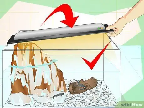 Сделать танк для тритонов Шаг 12