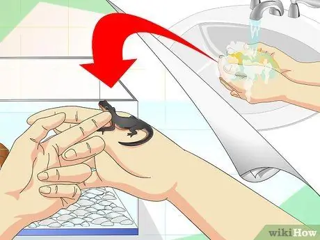 Сделать танк для тритонов Шаг 13