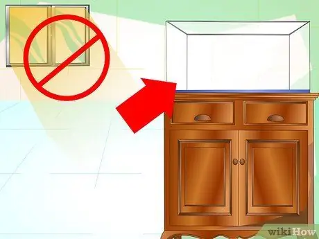 Сделайте танк для тритонов, шаг 3