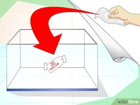 Сделайте танк для тритонов, шаг 4