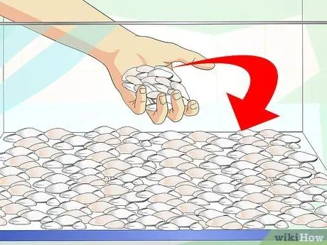 Сделать танк для тритонов, шаг 5