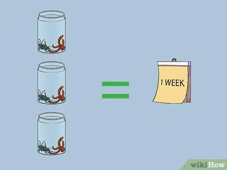 Покормить саламандру Шаг 7