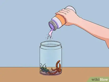 Покормить саламандру Шаг 9