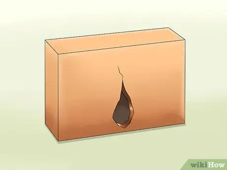 Поймать ящерицу без помощи рук Шаг 13