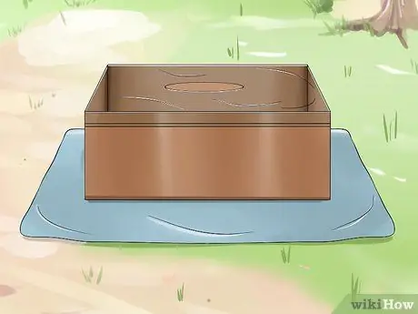 Поймать ящерицу без помощи рук Шаг 9