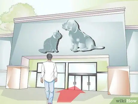 Купить тритона огненного живота шаг 1