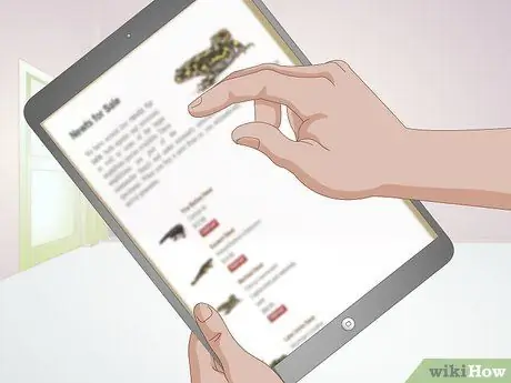 Купить тритона огненного живота, шаг 2