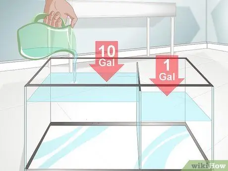 Уход за африканскими когтистыми или карликовыми лягушками Шаг 2