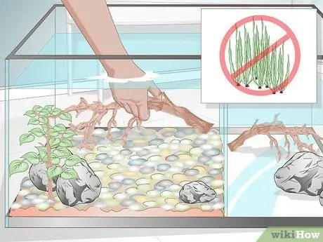 Уход за африканскими когтистыми или карликовыми лягушками Шаг 5